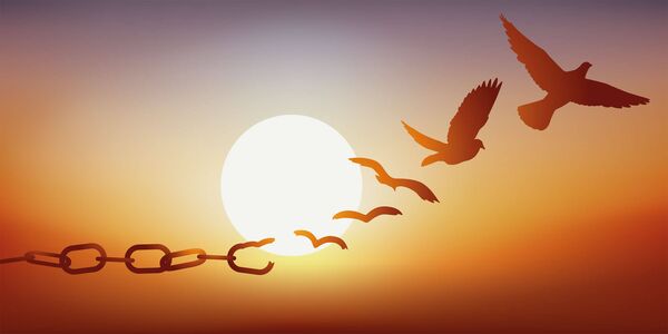 Illustration: mit Ketten, die aufbrechen und sich in eine Taube verwandeln, die bei Sonnenuntergang davonfliegt (wiedererlangte Freiheit)
